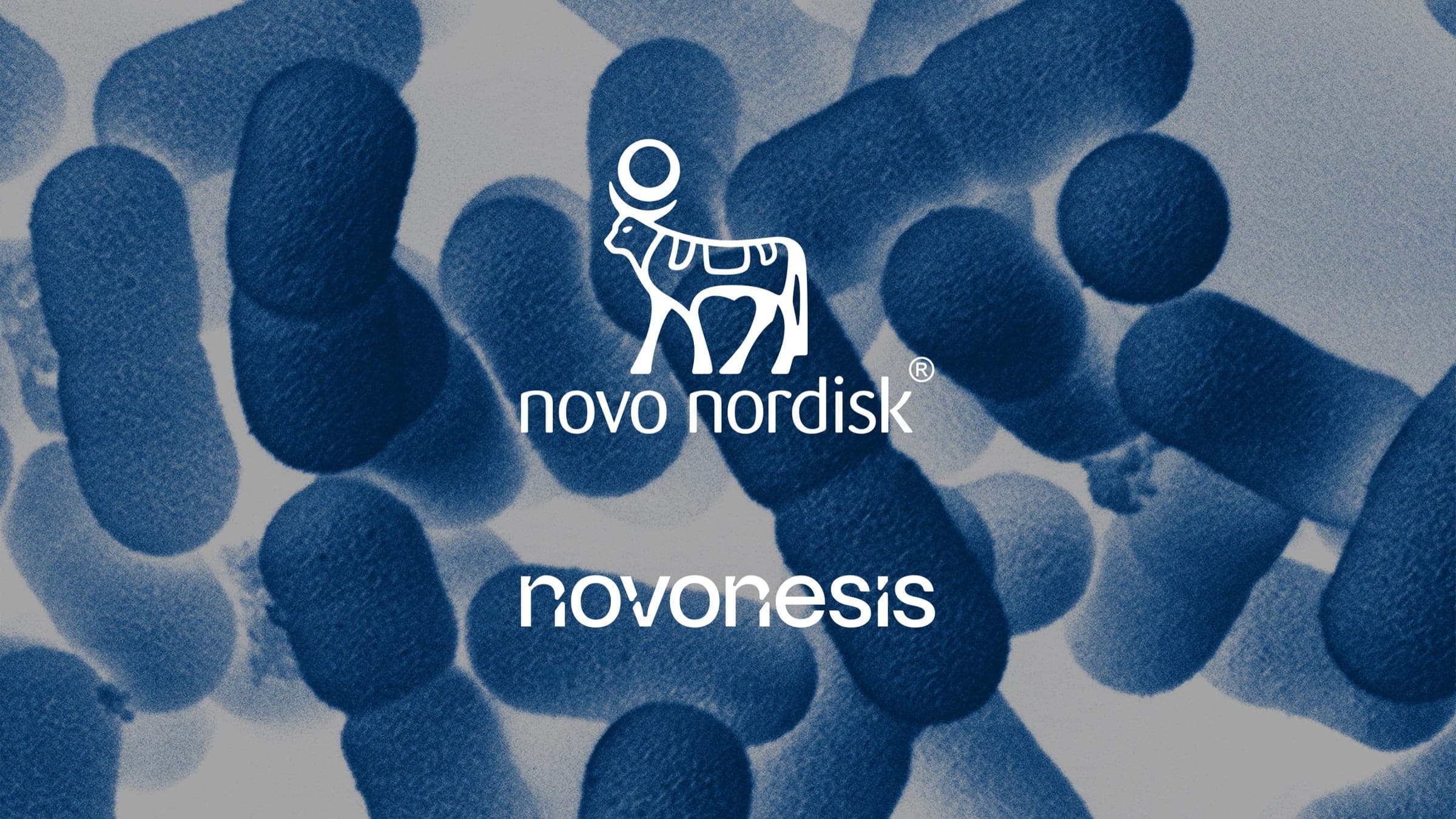 Novo Nordisk Aktienanalyse Update: Der Pharma-Weltmarktführer zum KGV von 14